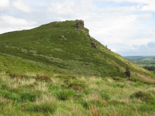 010Hen Cloud (640x480)