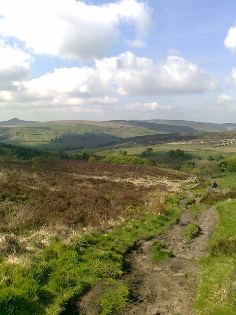 045Moorland walk (480x640)