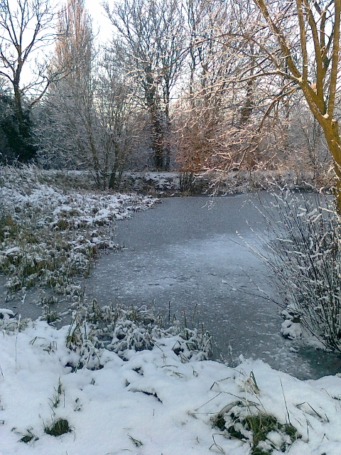 077Snow & ice on pond (480x640)