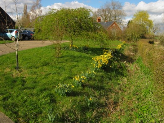 002View of garden from gate (640x480)