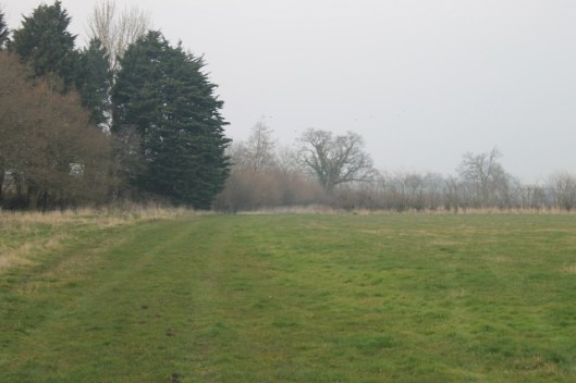 003Evening walk over the fields (640x427)