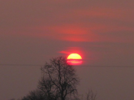 003Misty sunset (640x480)