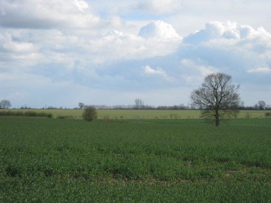 005View across fields from path (640x480)