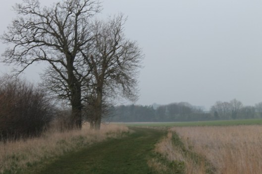 008Path by the fields (640x427)
