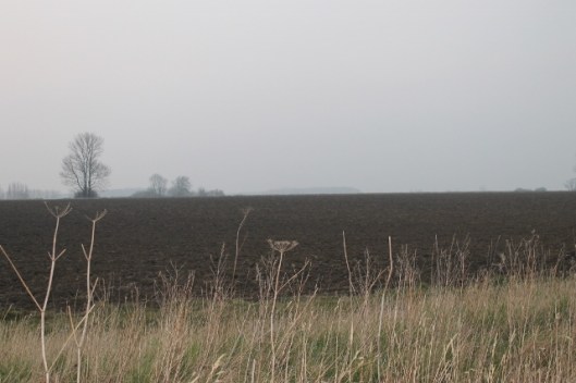 009A ploughed field (640x427)