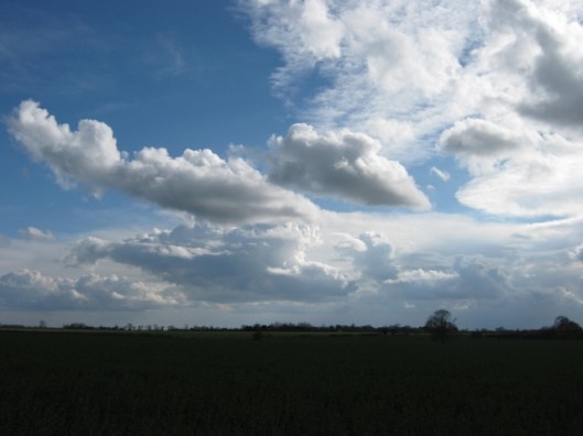 009Clouds (640x480)