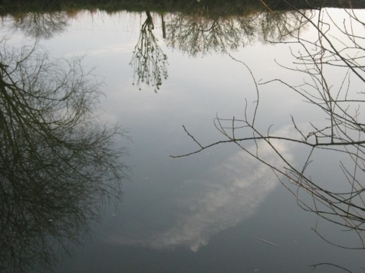 009Reflection of trees and cloud in pond (640x480)