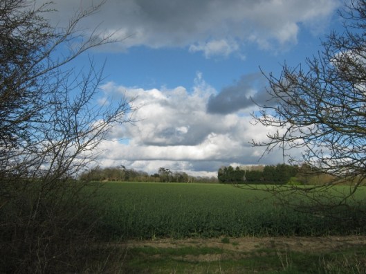 010Clouds (640x480)