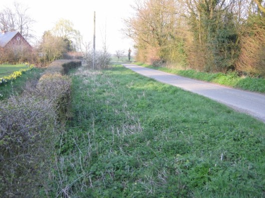 014Verge, common land (640x480)