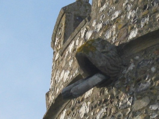 016Gargoyle waterspout (640x480)