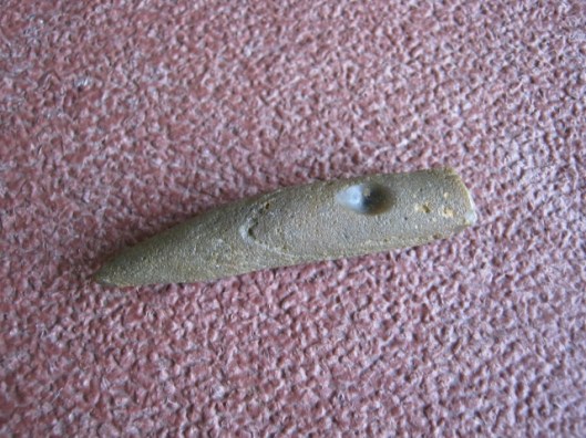 010Belemnite (640x480)