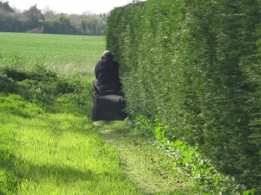 019R mowing grass (640x480)