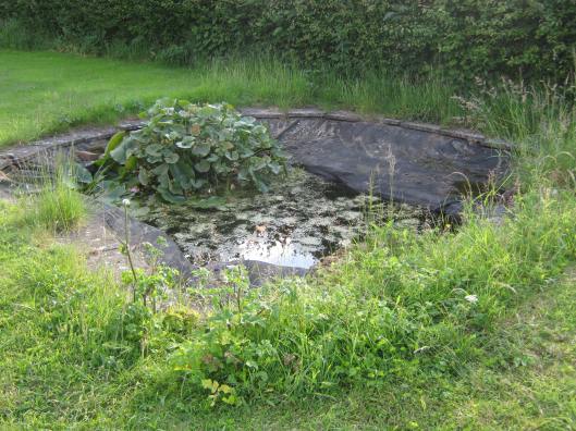 011Small pond