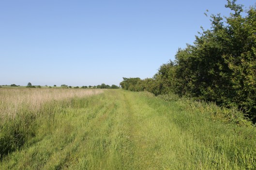 042Path at edge of field