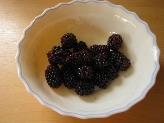 007Blackberries