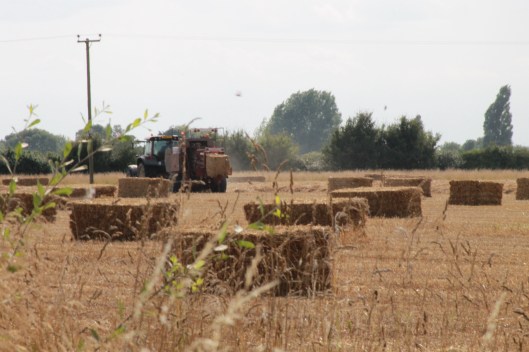 002Straw baling
