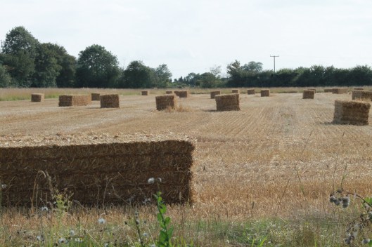 006Straw bales