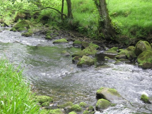 020River Dane (640x480)