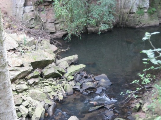 023Pool caused by landslip (640x480)