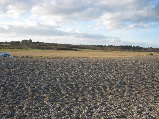 024View inland from Dunwich beach (640x480)