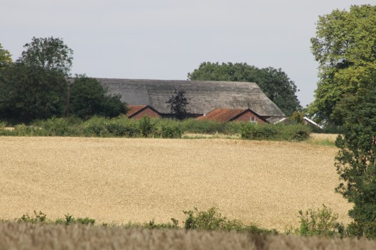 038Thatched barn
