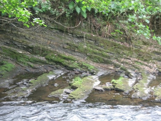 049Rock strata River Dane (640x480)