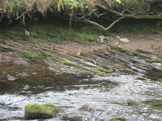 050Rock strata River Dane (640x480)