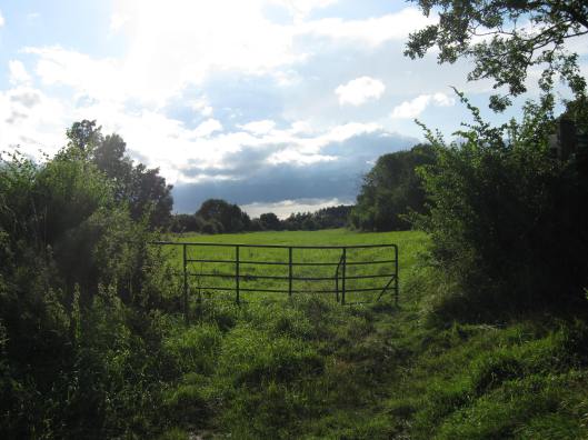 056Field, gate, clouds
