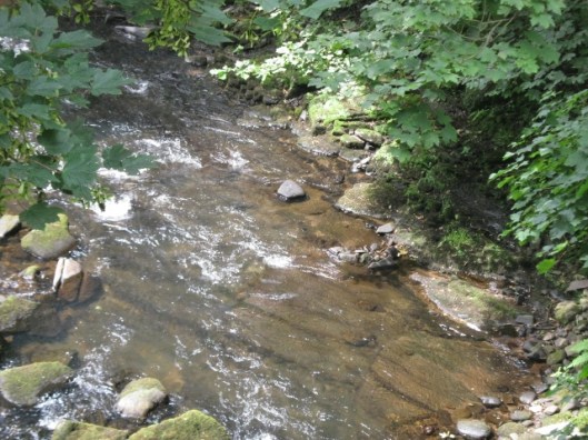 056River Dane (640x480)