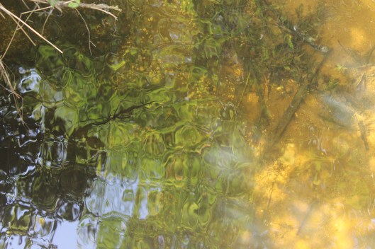 066The Beck - reflection