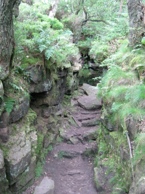 094Lud's Church (480x640)