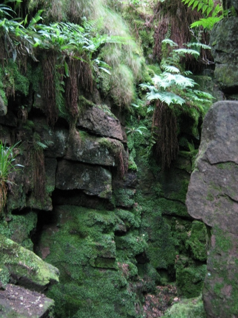 095Lud's Church (480x640)