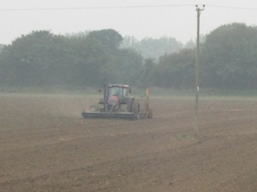 002Harrowing (640x480)