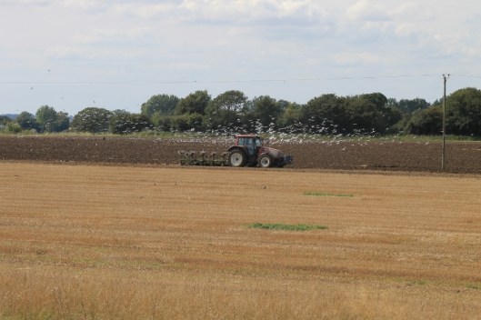 005Ploughing (640x427)