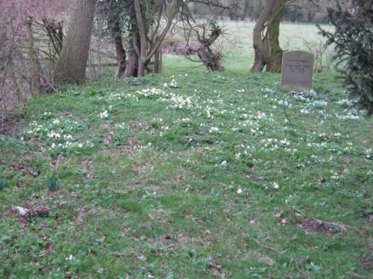 031St Margaret South Elmham churchyard (640x480)