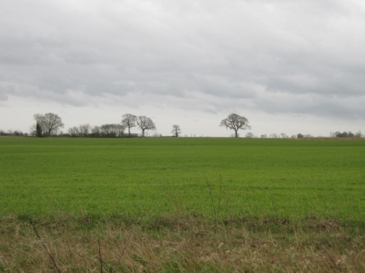042View across fields (640x480)