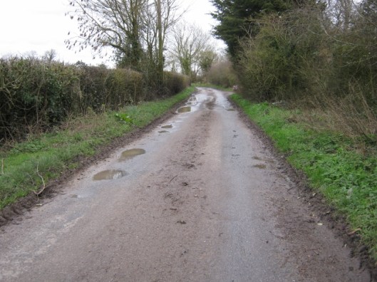 048Muddy lane (640x480)