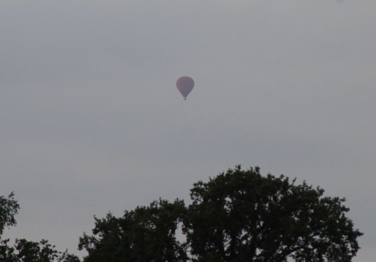 009Hot air balloon (640x448)