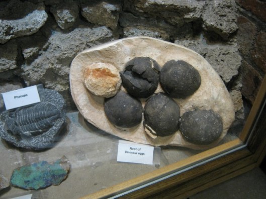 134Dinosaur eggs (640x480)