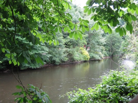 149R Derwent (640x480)