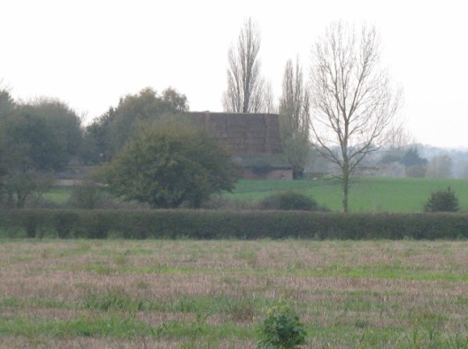 014Mountain of straw bales (640x478)