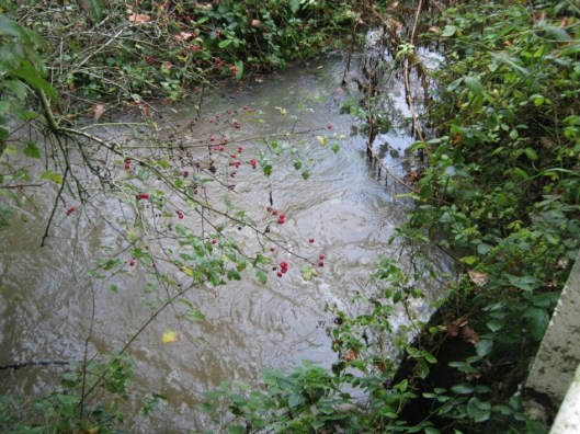 017Flowing water in ditch (640x480)