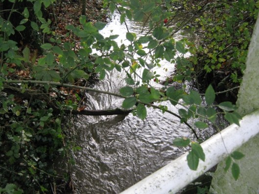 019Flowing water (640x480)