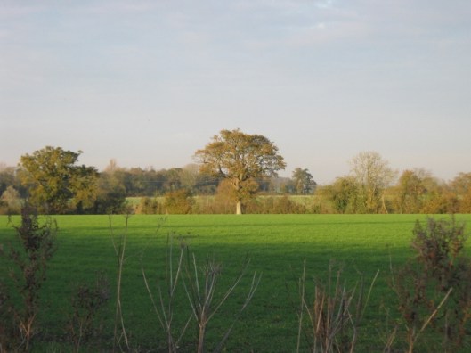 031View across fields (640x480)