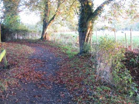 044Path through churchyard (640x480)