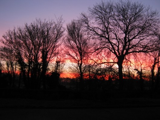 001Sunrise (640x480)