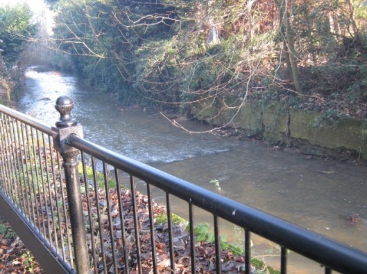 001Town river (640x480)