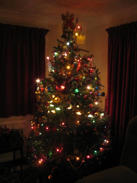 003Christmas tree (480x640)