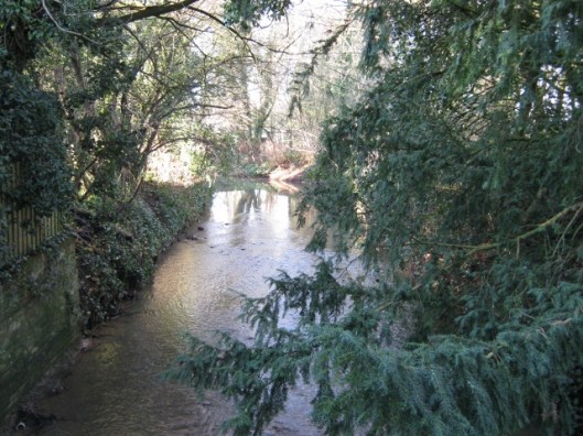 005Town river (640x480)