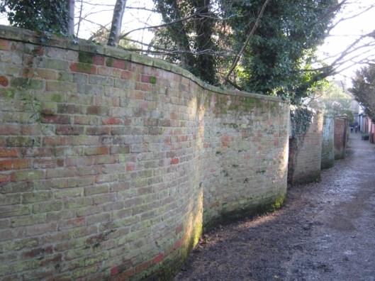 007Crinkle-crankle wall (640x480)